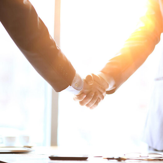 Partners shaking hands